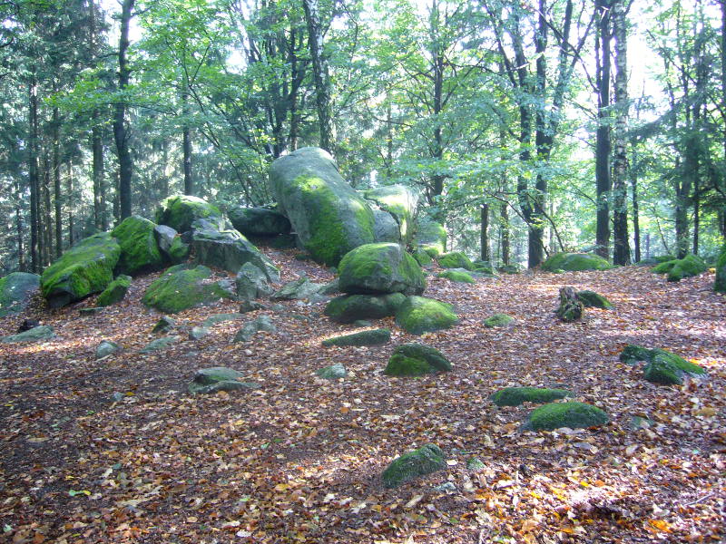 Granitfelsen auf dem Götzenstein
