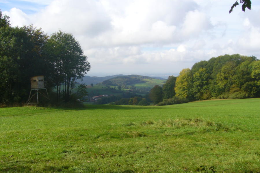 Fernsicht bei Ober-Abtsteinach