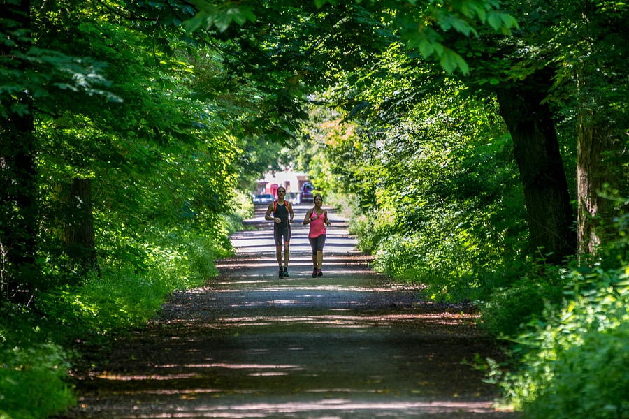 Paar beim Walking in einem Waldstück